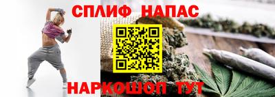 СК Коммунар