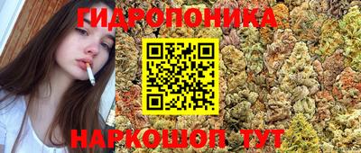 СК Коммунар