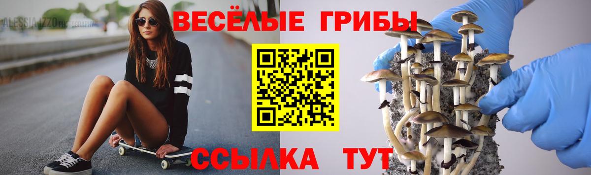 Касимов  Псилоцибиновые грибы ЛСД  Вход с VPN  Галлюциногенные грибы прущие грибы 